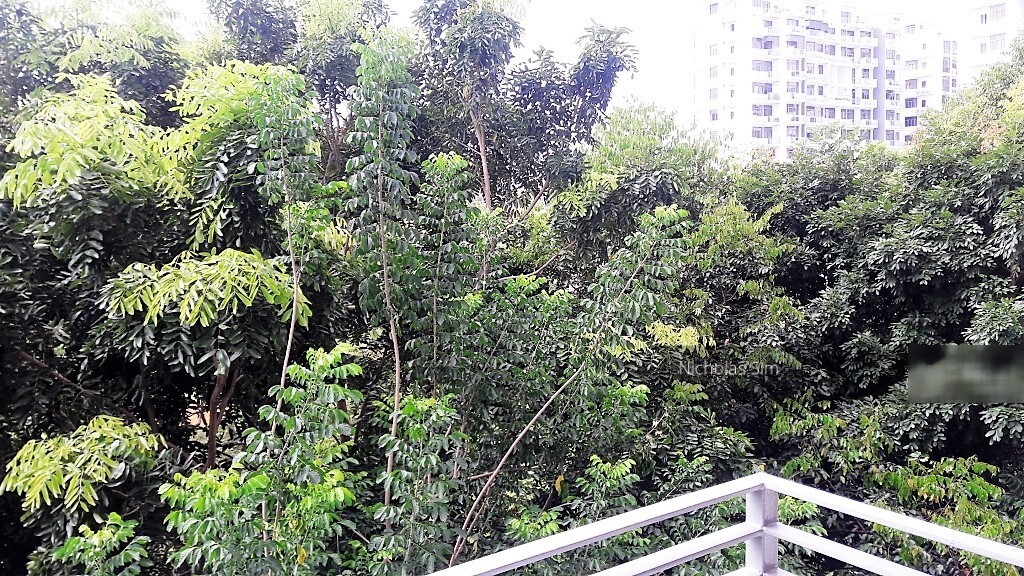 Casa Merah (D16), Apartment #245715151